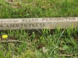 image of grave number 833619